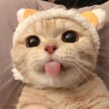 Phan Văn Nam avatar